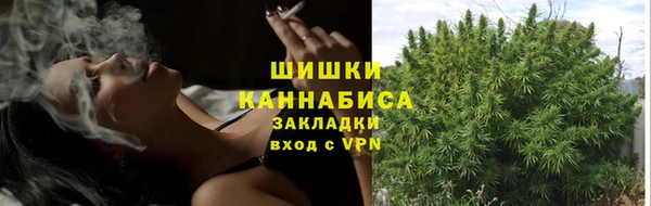 Альфа ПВП Козловка