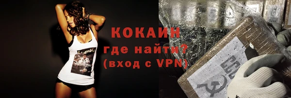 мдпв Кодинск