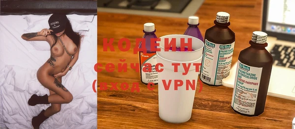 мдпв Кодинск