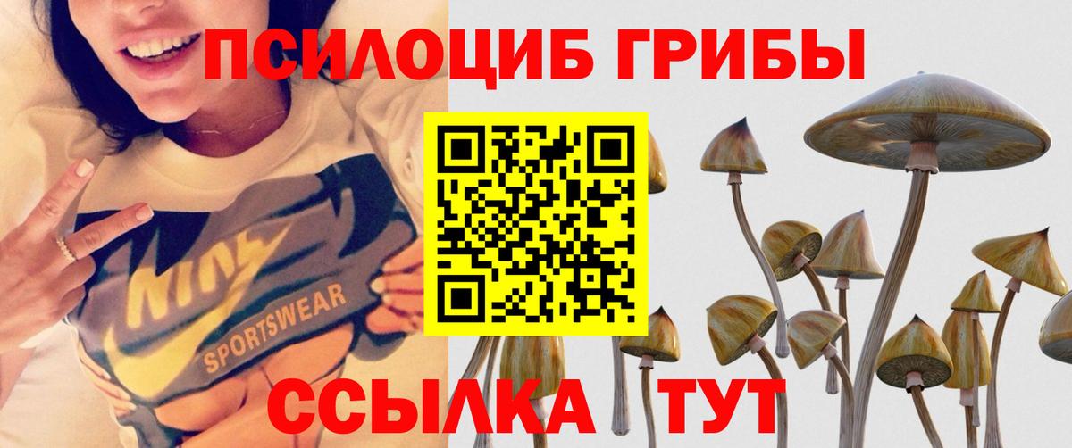 Псилоцибиновые грибы мухоморы Новотроицк