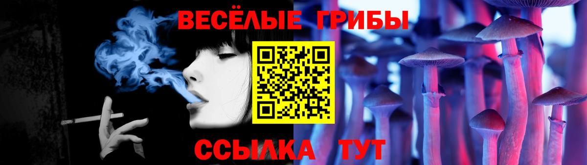 Новотроицк  Псилоцибиновые грибы мухоморы  наркота  Вход с VPN  Псилоцибиновые грибы мухоморы 